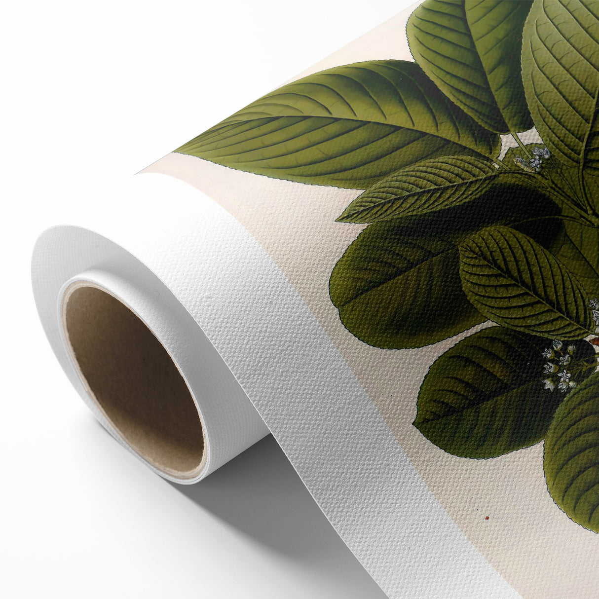 Botanical Art Prints – Vintage Botanical Illustration Art