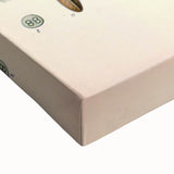 Vintage Botanical Illustration of Olive – Botanical Art Prints