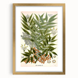 Botanical Art Prints – Vintage Botanical Illustration Art