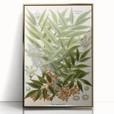 Botanical Art Prints – Vintage Botanical Illustration Art