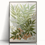 Botanical Art Prints – Vintage Botanical Illustration Art