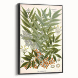 Botanical Art Prints – Vintage Botanical Illustration Art