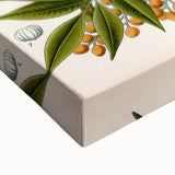 Botanical Art Prints – Vintage Botanical Illustration Art