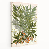 Botanical Art Prints – Vintage Botanical Illustration Art