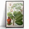 Botanical Art Prints – Vintage Botanical Illustration Art