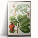 Botanical Art Prints – Vintage Botanical Illustration Art