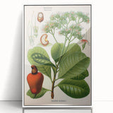 Botanical Art Prints – Vintage Botanical Illustration Art