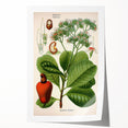 Botanical Art Prints – Vintage Botanical Illustration Art