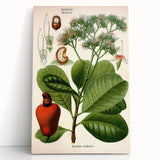 Botanical Art Prints – Vintage Botanical Illustration Art