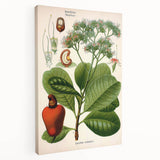 Botanical Art Prints – Vintage Botanical Illustration Art