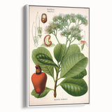 Botanical Art Prints – Vintage Botanical Illustration Art