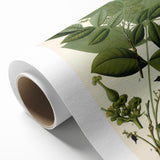 Botanical Art Prints – Vintage Botanical Illustration Art