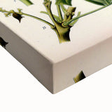 Botanical Art Prints – Vintage Botanical Illustration Art