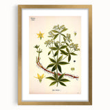 Botanical Art Prints – Vintage Botanical Illustration Art