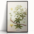 Botanical Art Prints – Vintage Botanical Illustration Art