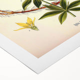 Botanical Art Prints – Vintage Botanical Illustration Art