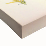 Botanical Art Prints – Vintage Botanical Illustration Art