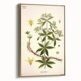 Botanical Art Prints – Vintage Botanical Illustration Art