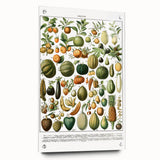 Vintage Botanical Art Prints – Nature-Inspired Fruit Illustration