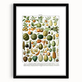 Vintage Botanical Art Prints – Nature-Inspired Fruit Illustration