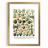 Vintage Botanical Art Prints – Nature-Inspired Fruit Illustration