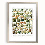 Vintage Botanical Art Prints – Nature-Inspired Fruit Illustration