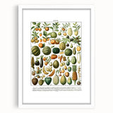 Vintage Botanical Art Prints – Nature-Inspired Fruit Illustration