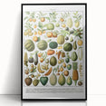 Vintage Botanical Art Prints – Nature-Inspired Fruit Illustration