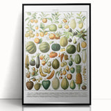 Vintage Botanical Art Prints – Nature-Inspired Fruit Illustration