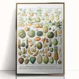Vintage Botanical Art Prints – Nature-Inspired Fruit Illustration
