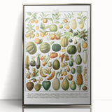 Vintage Botanical Art Prints – Nature-Inspired Fruit Illustration