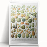 Vintage Botanical Art Prints – Nature-Inspired Fruit Illustration