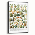 Vintage Botanical Art Prints – Nature-Inspired Fruit Illustration