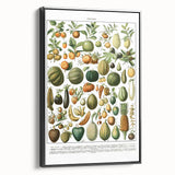 Vintage Botanical Art Prints – Nature-Inspired Fruit Illustration