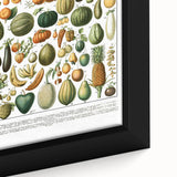 Vintage Botanical Art Prints – Nature-Inspired Fruit Illustration