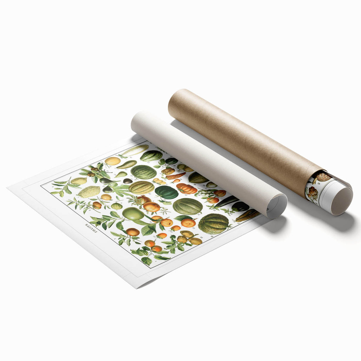 Vintage Botanical Art Prints – Nature-Inspired Fruit Illustration