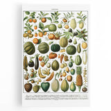 Vintage Botanical Art Prints – Nature-Inspired Fruit Illustration