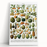 Vintage Botanical Art Prints – Nature-Inspired Fruit Illustration