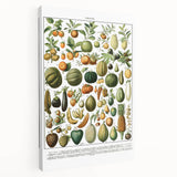 Vintage Botanical Art Prints – Nature-Inspired Fruit Illustration