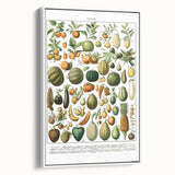 Vintage Botanical Art Prints – Nature-Inspired Fruit Illustration