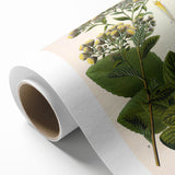 Vintage Botanical Art Prints – Conyza Squarrosa Illustration