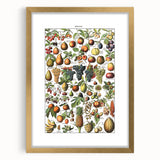 Vintage Botanical Art Prints – Fruits Collection Illustration