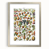 Vintage Botanical Art Prints – Fruits Collection Illustration