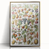 Vintage Botanical Art Prints – Fruits Collection Illustration