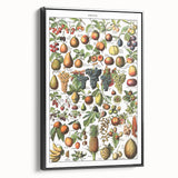 Vintage Botanical Art Prints – Fruits Collection Illustration