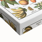 Vintage Botanical Art Prints – Fruits Collection Illustration