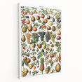Vintage Botanical Art Prints – Fruits Collection Illustration