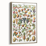 Vintage Botanical Art Prints – Fruits Collection Illustration