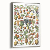 Vintage Botanical Art Prints – Fruits Collection Illustration
