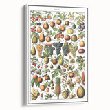 Vintage Botanical Art Prints – Fruits Collection Illustration